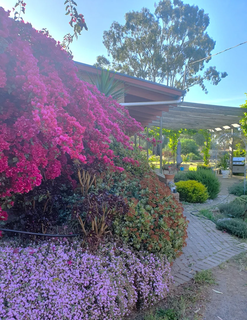 Additional image 18 of 93 Balmoral Road, Kalbeeba SA 5118