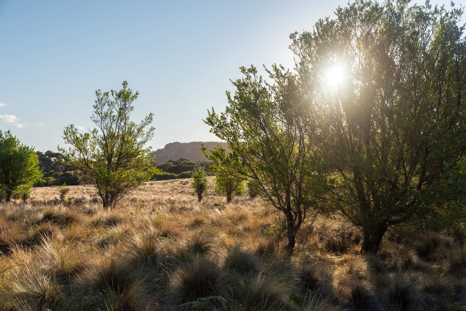 Additional image 21 of Lot 3 Boat Harbour Road, Killiecrankie TAS 7255