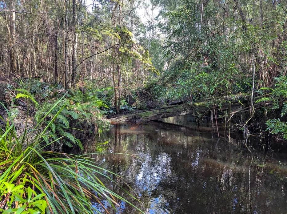 Strathblane TAS 7109