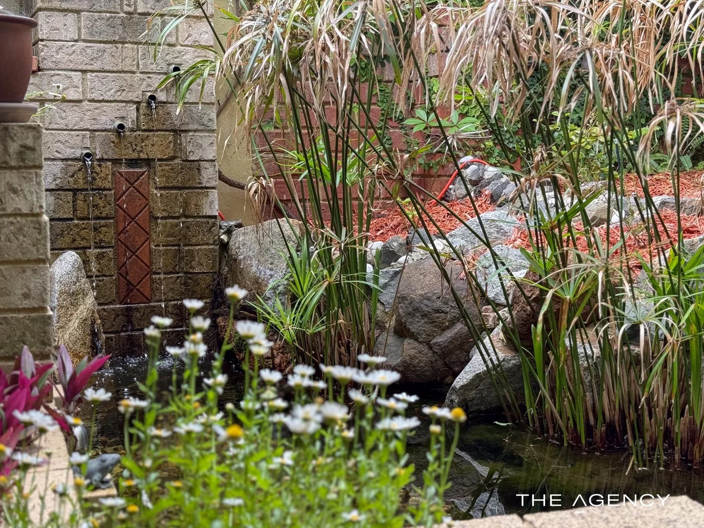 Additional image 2 of 59 Curven Road, Hamilton Hill WA 6163