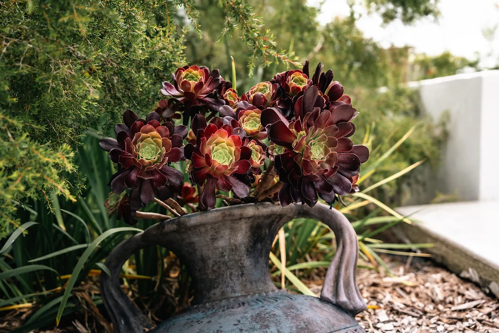 Additional image 22 of 879 Bald Knob Road, Bald Knob QLD 4552