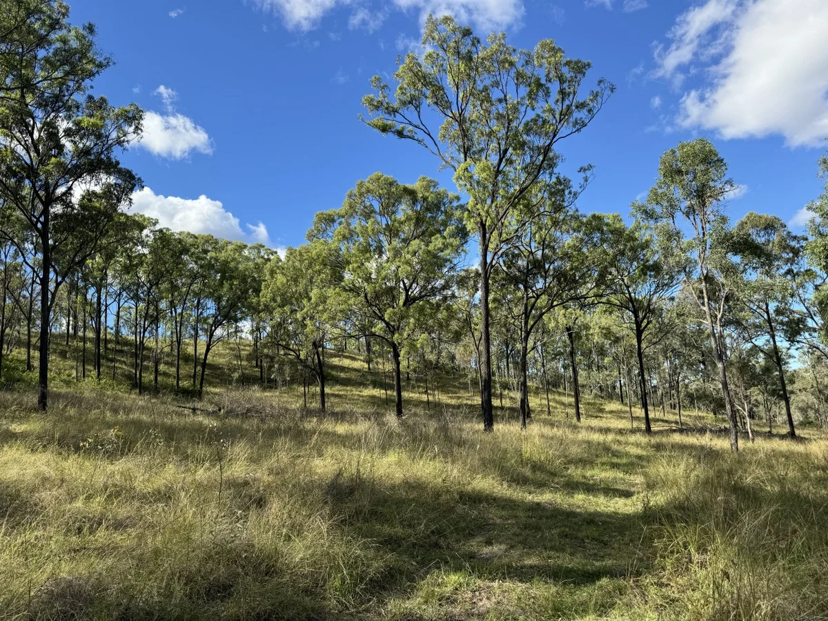 Additional image 19 of 186 Mungungo Creek Road, Monto QLD 4630