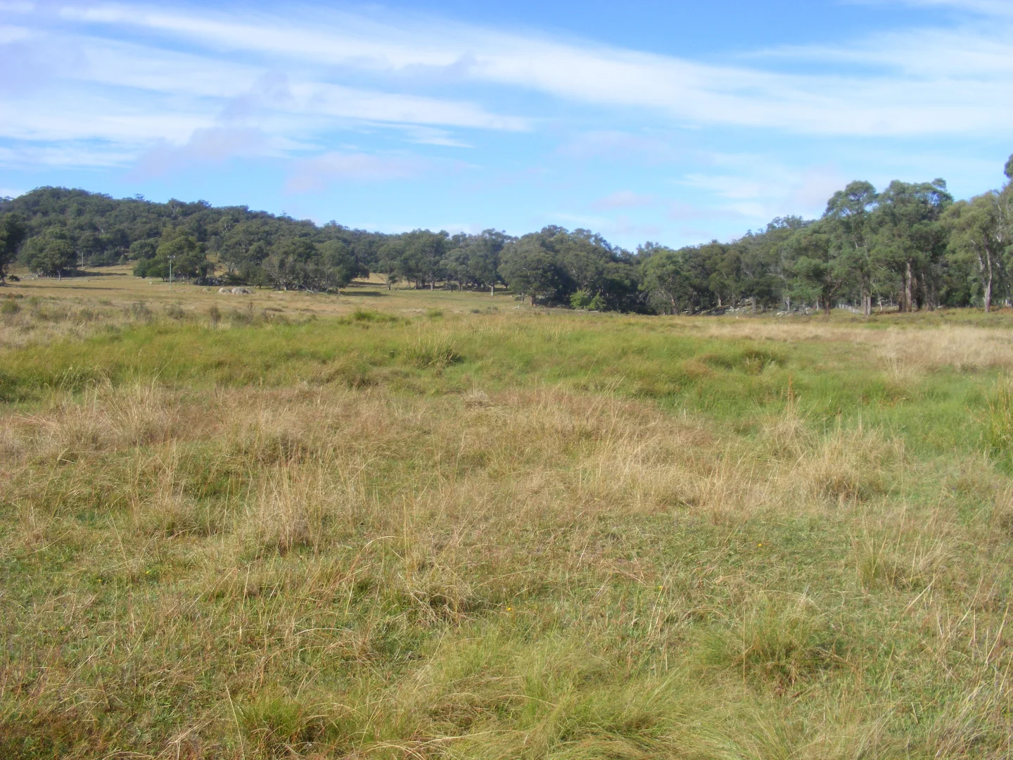 Additional image 12 of 618 Coopers Road, Red Range NSW 2370
