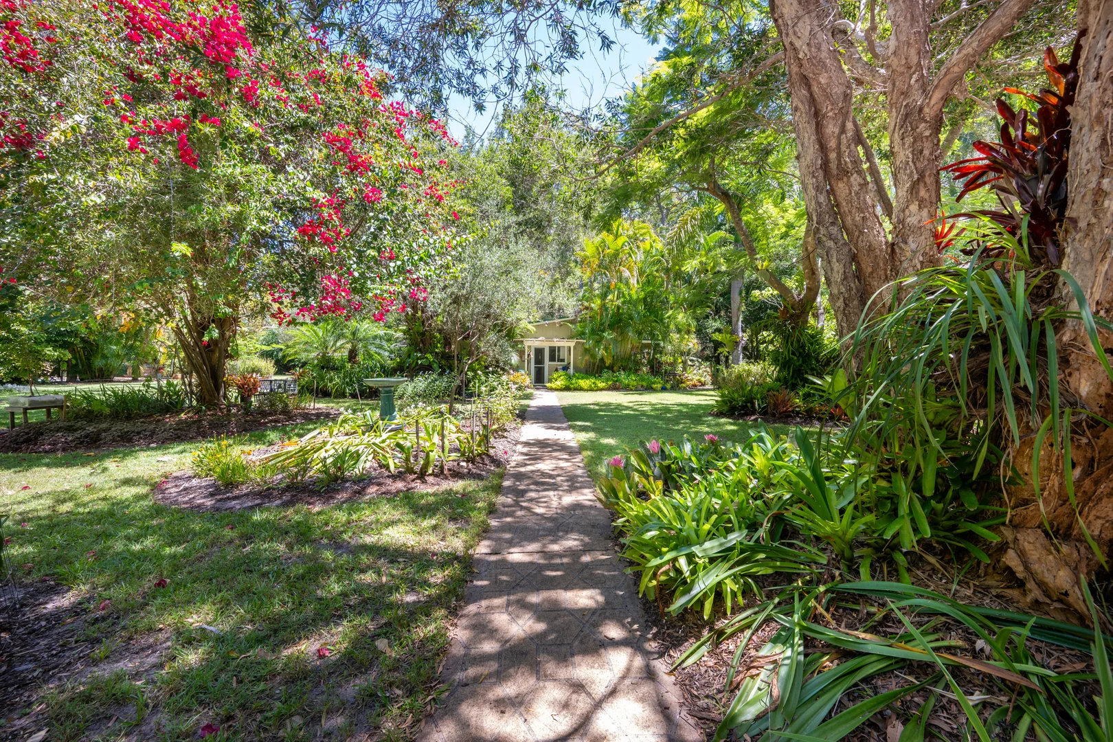 Additional image 18 of 2536 Solitary Islands Way, Arrawarra NSW 2456