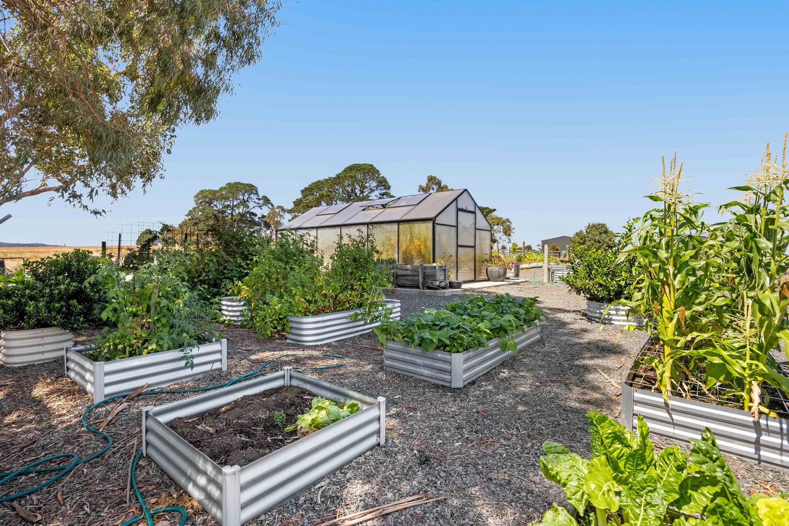 Additional image 25 of 209 Davis Road, Berringa VIC 3351