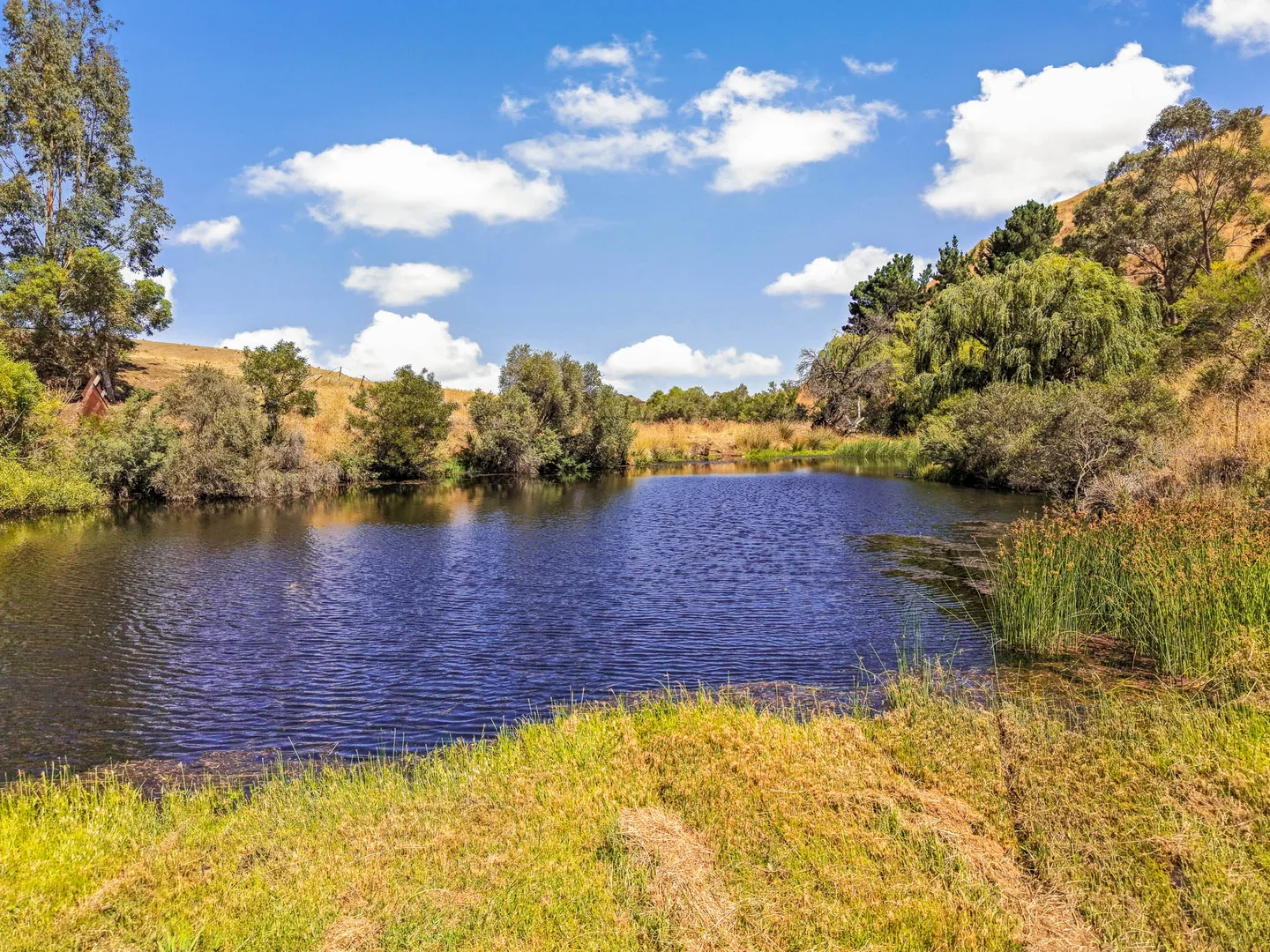 Additional image 21 of 600 Settlement Road, Sunbury VIC 3429