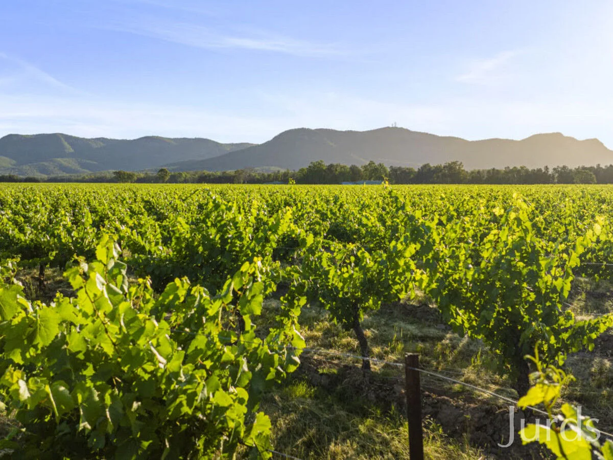 Additional image 9 of 2/DP707940 Hermitage Road, Pokolbin NSW 2320