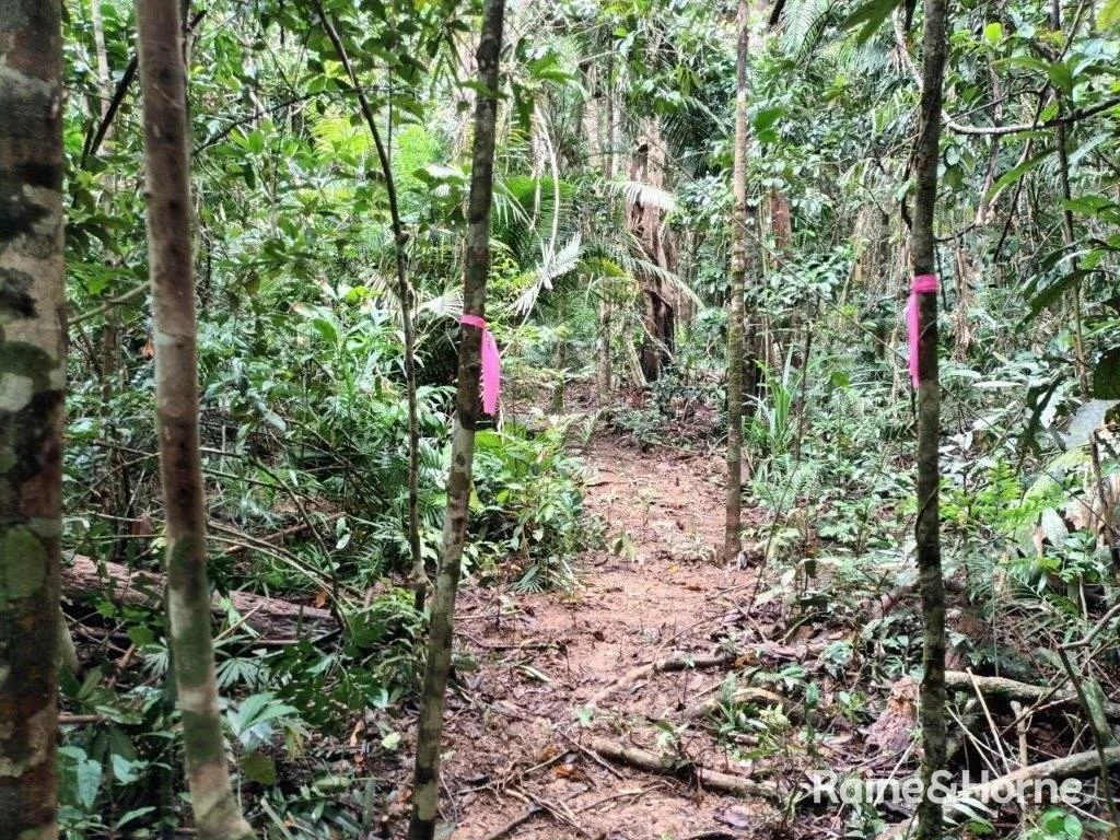 Additional image 23 of Lot 11 Milky Pine Road, Kimberley, Daintree QLD 4873