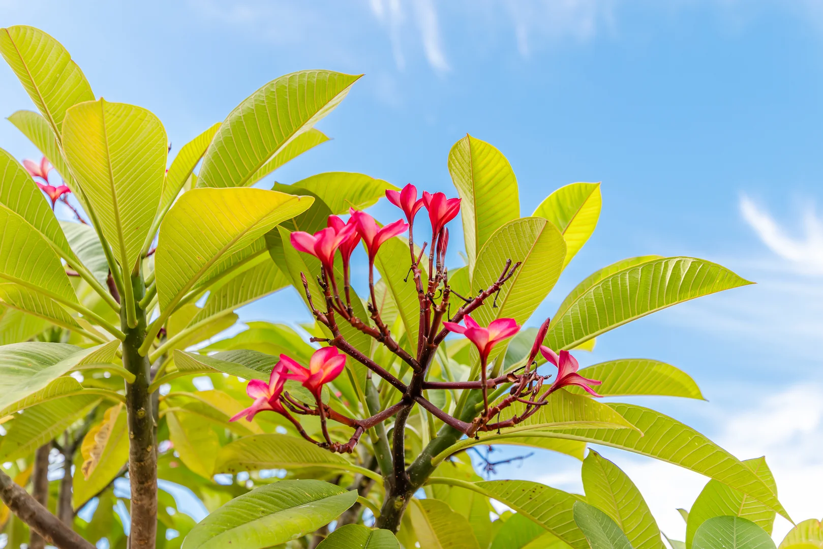 Additional image 12 of 12/28 Rushton Street, Burswood WA 6100