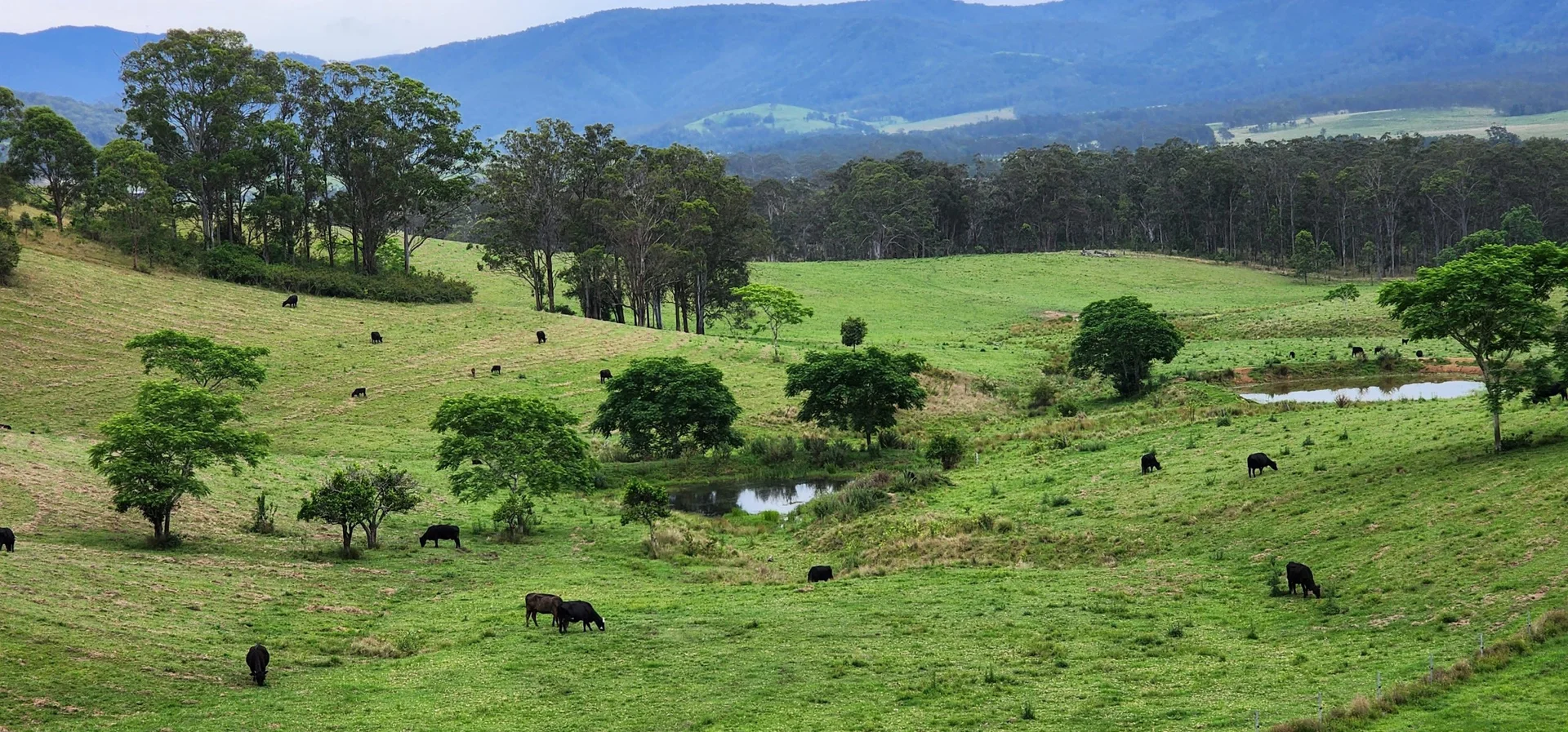 Additional image 10 of 5985 Oxley Highway, Ellenborough NSW 2446