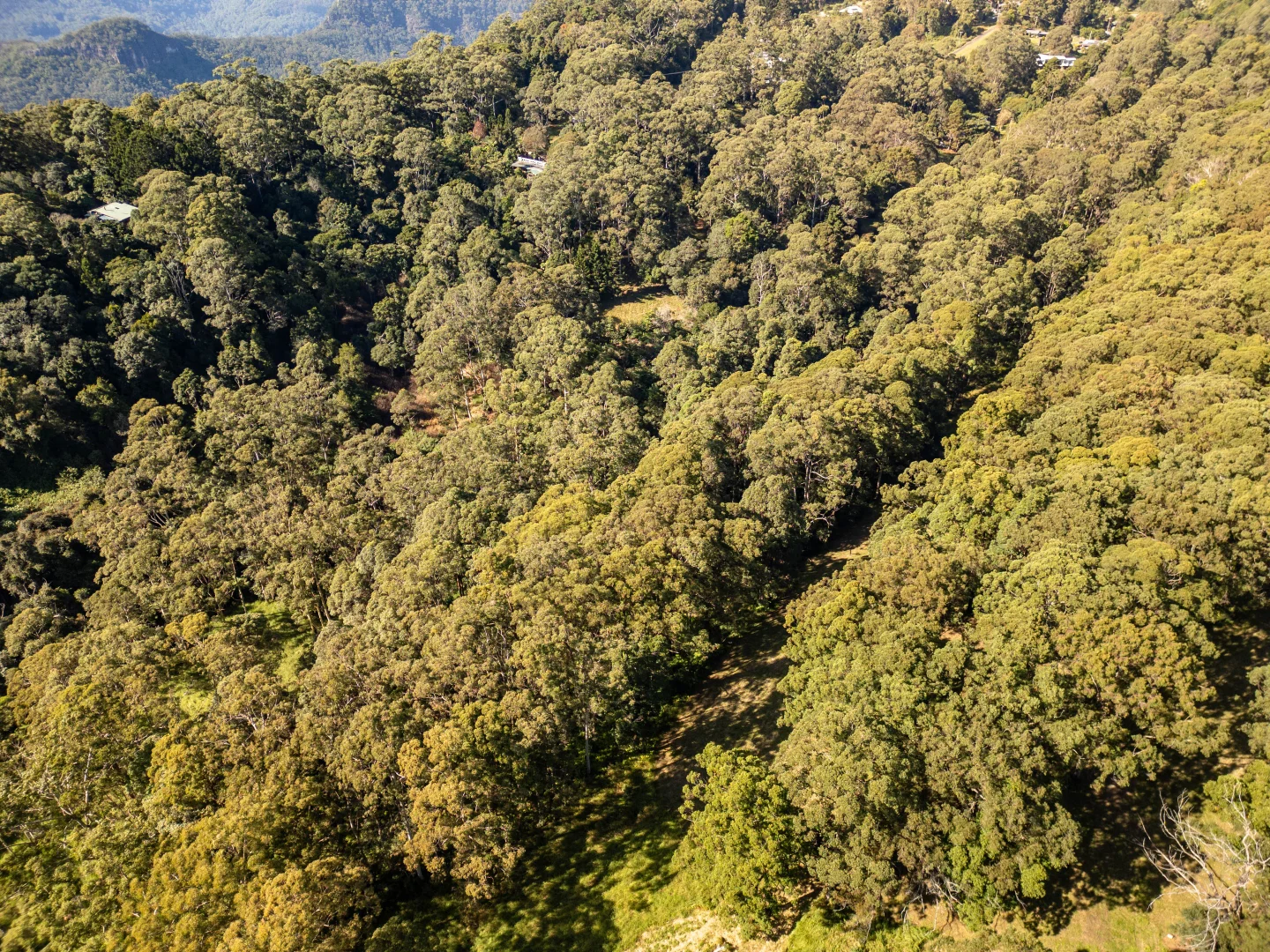 Additional image 11 of 618 Binna Burra Road, Beechmont QLD 4211