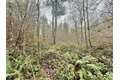 Additional image 22 of 298 Boone Rd, Toledo, WA, 98591