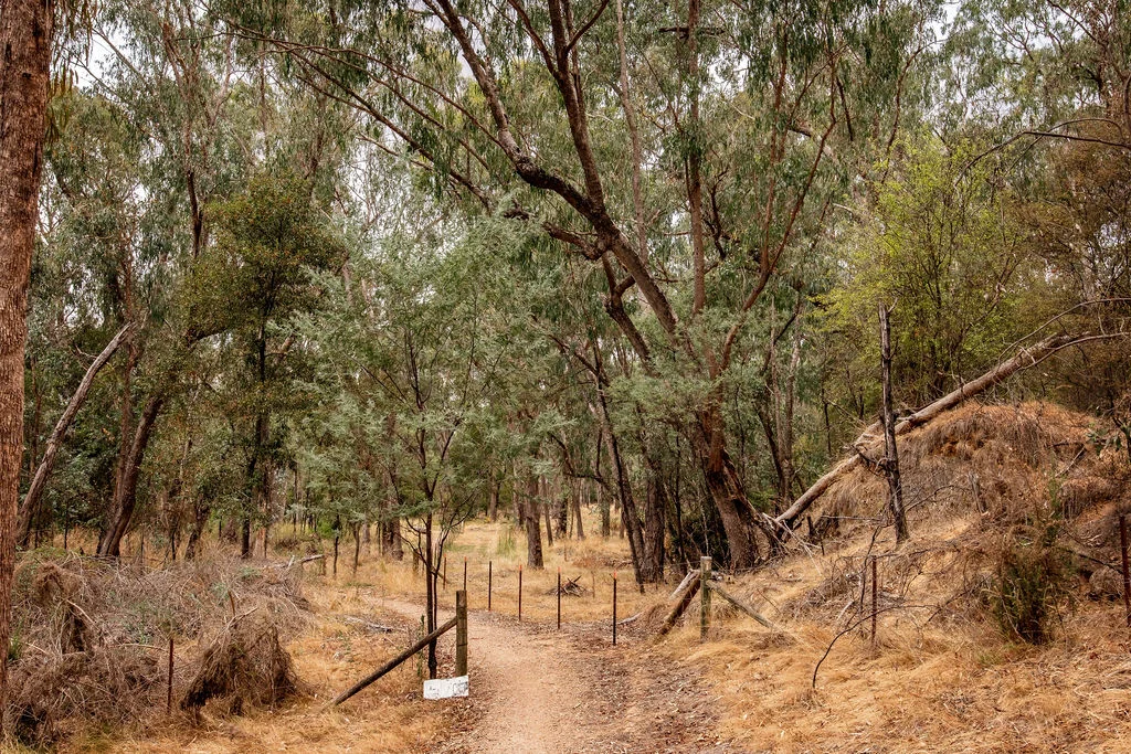 Additional image 28 of 22 Crystal Creek Lane, Yackandandah VIC 3749