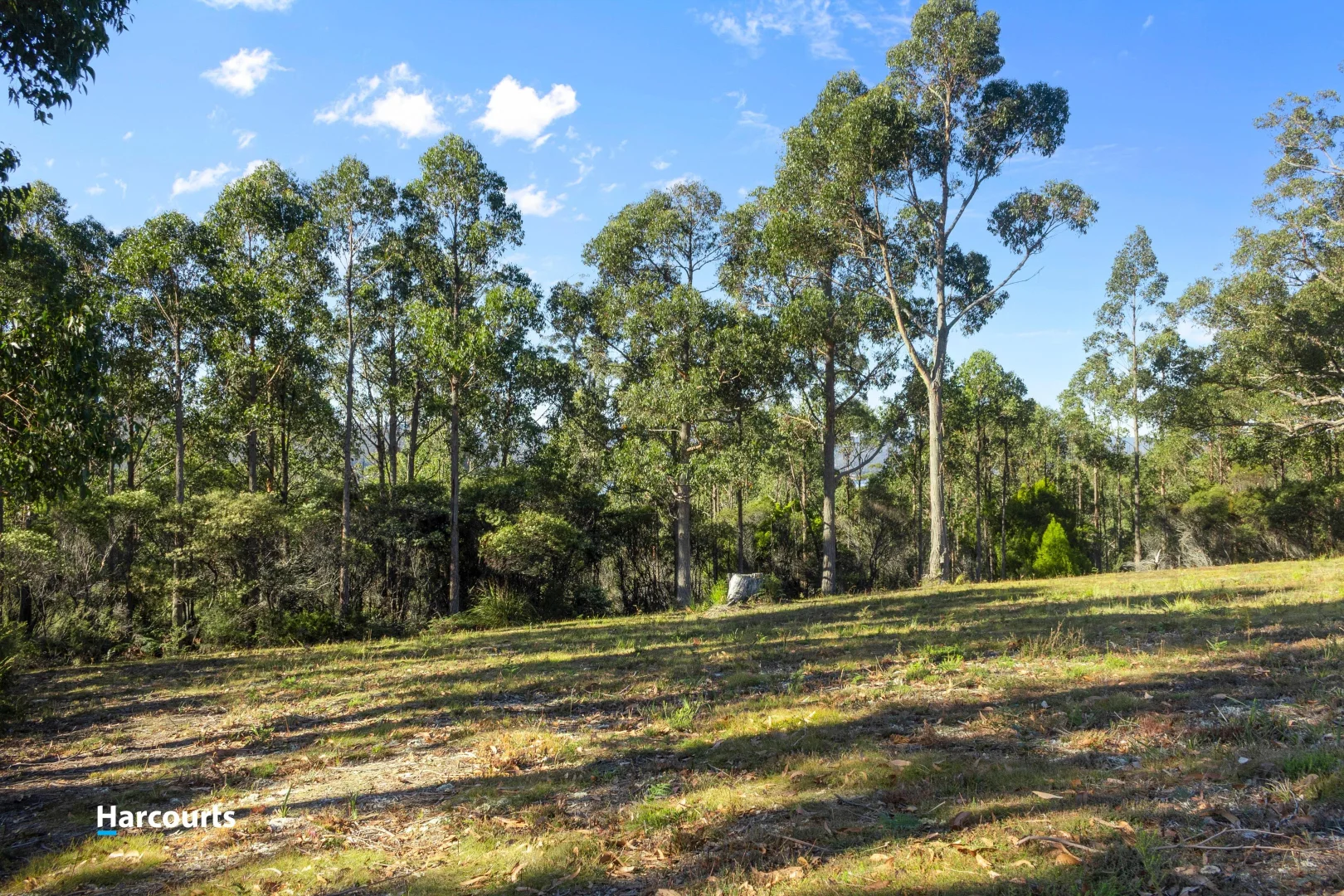 Additional image 13 of 15 Stella Court, Surges Bay TAS 7116