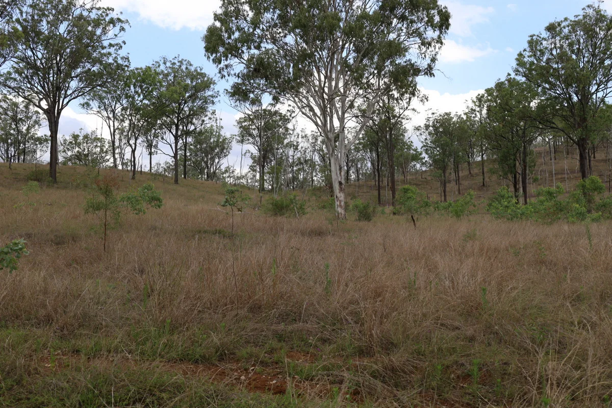 Additional image 20 of 479 Pine Mountain Creek Road, Monto QLD 4630