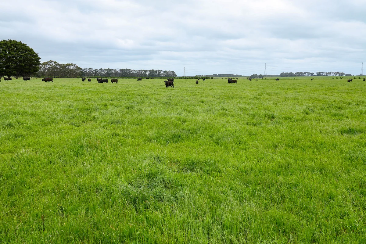 Additional image 25 of 'Laguna' 495 Camerons Road, Woolsthorpe VIC 3276