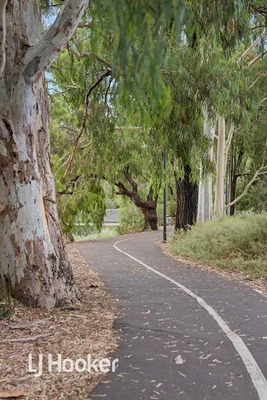 Additional image 22 of 61 Fulham Park Drive, Lockleys SA 5032