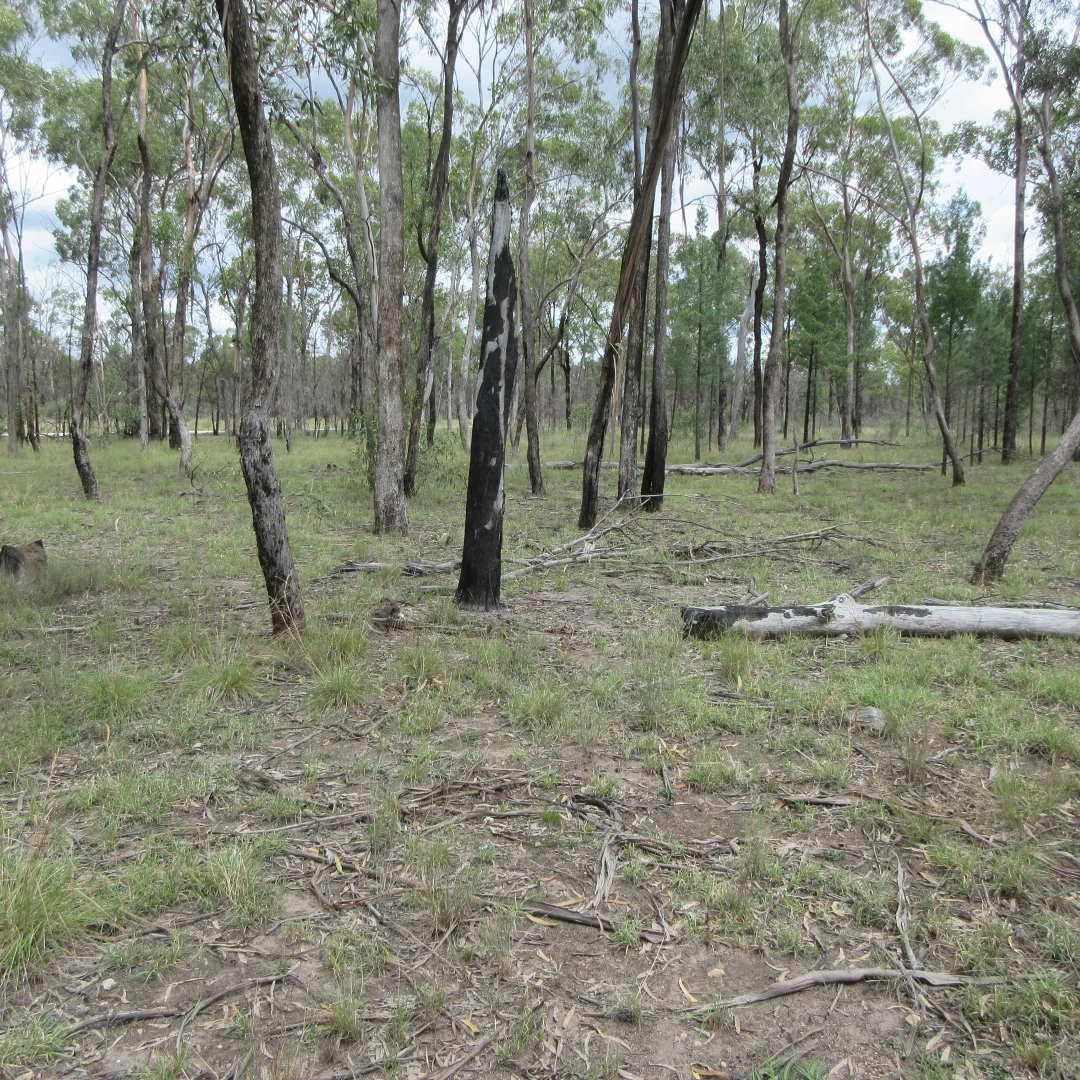 Additional image 14 of Tara QLD 4421
