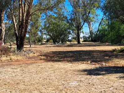 Additional image 3 of 6 Hay Street, Savernake NSW 2646