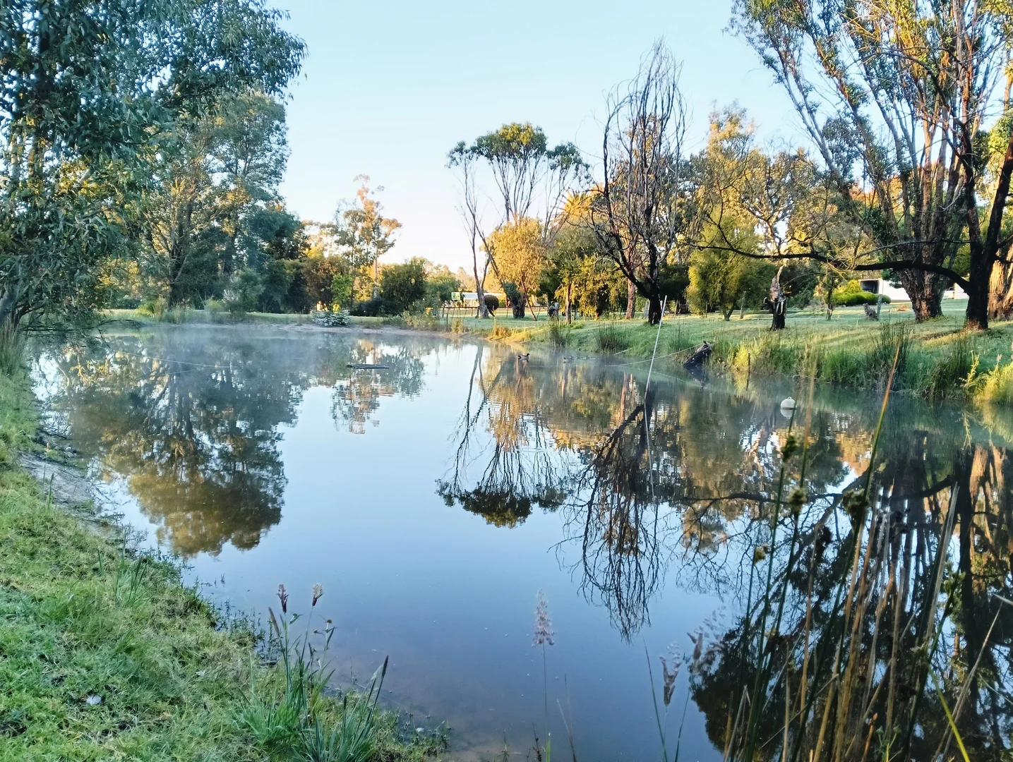 Additional image 9 of 116 Mt Gambier Road, Casterton VIC 3311