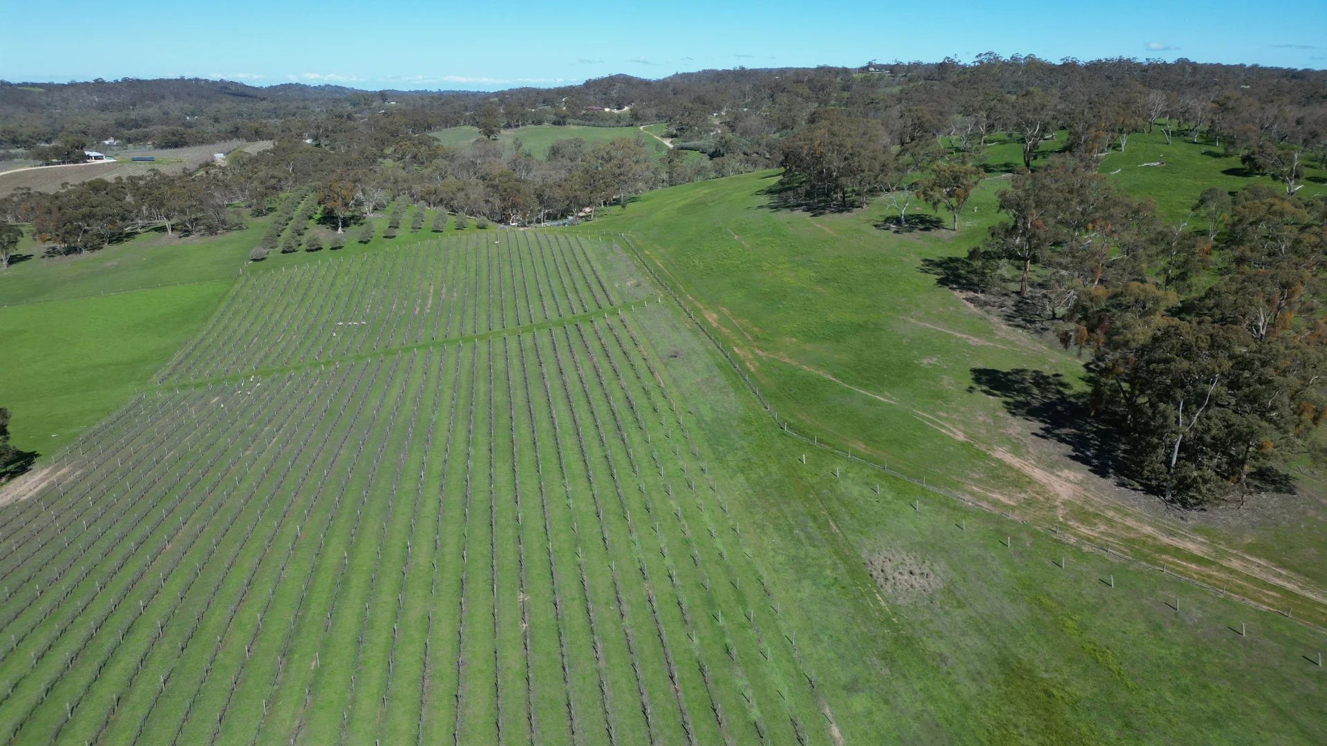 Additional image 12 of Lot 388 McCord Lane, Gillentown SA 5453