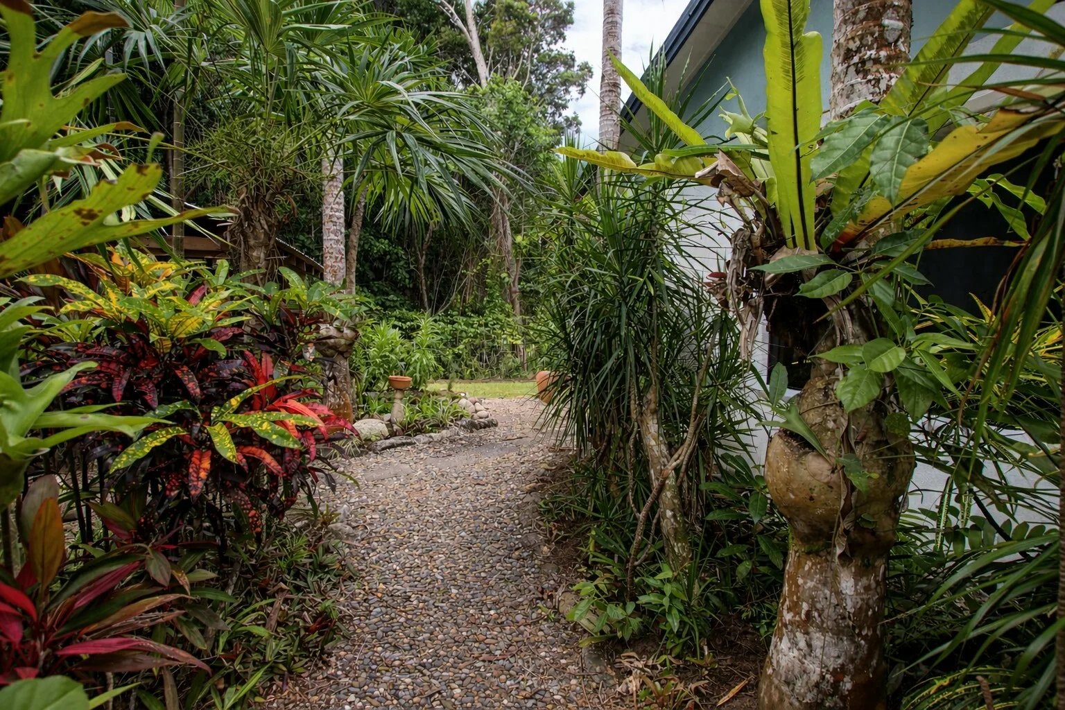 Additional image 18 of 31 Conch St, Mission Beach QLD 4852