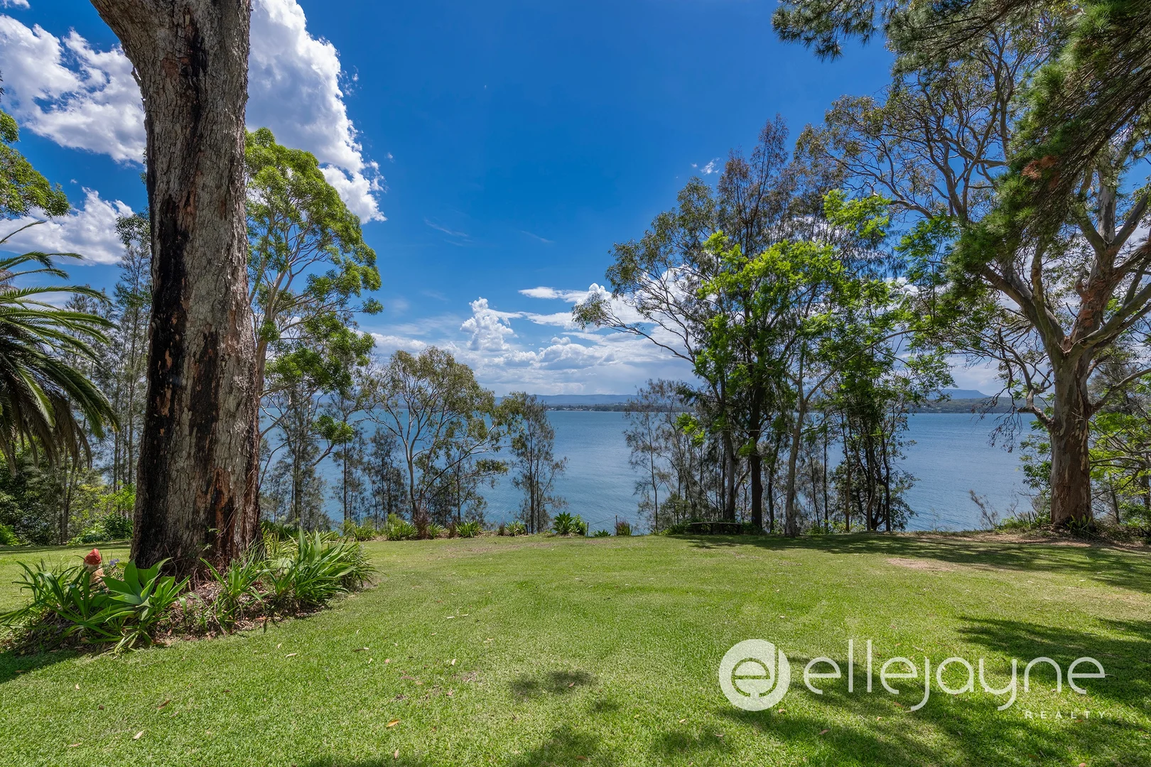 Additional image 8 of 17 King Street, Balcolyn NSW 2264