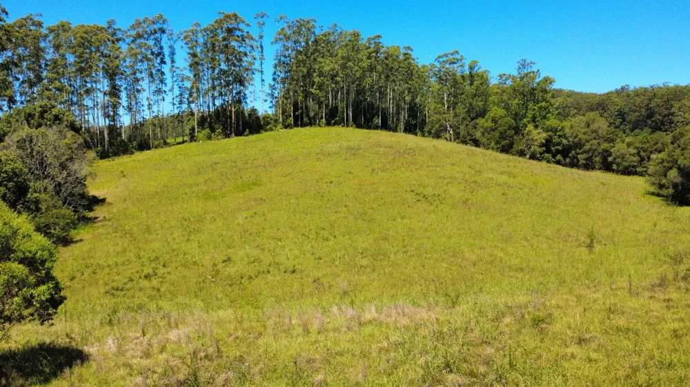 Additional image 4 of 17 Neilson Lane, Lorne NSW 2439