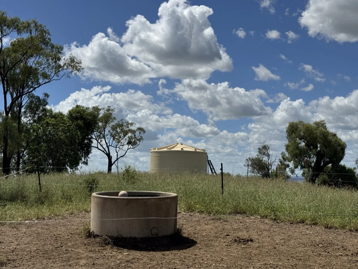 Additional image 11 of "Mustons" Frawleys Road, Thangool QLD 4716