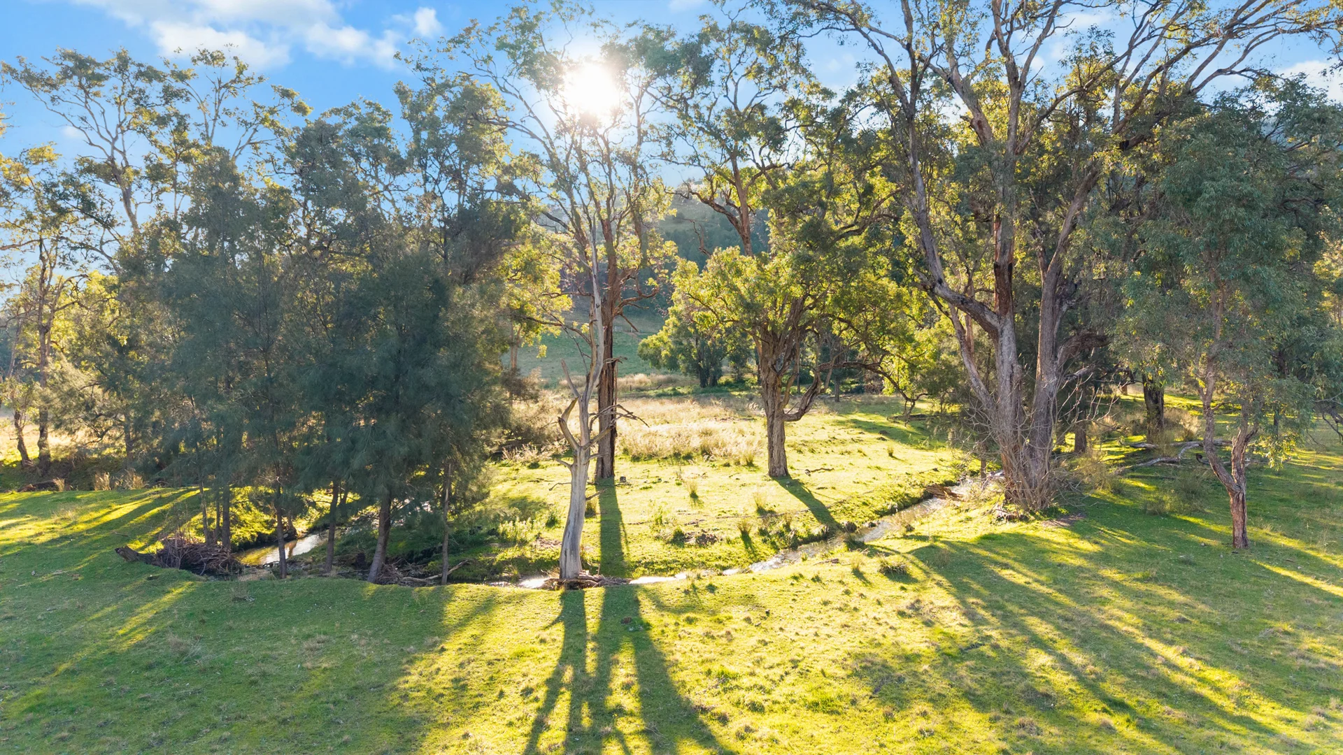 Additional image 38 of 24 Drop Bear Lane, Tamworth NSW 2340