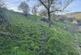 Additional image 2 of Lot 1, Ible, Grangemill, Matlock