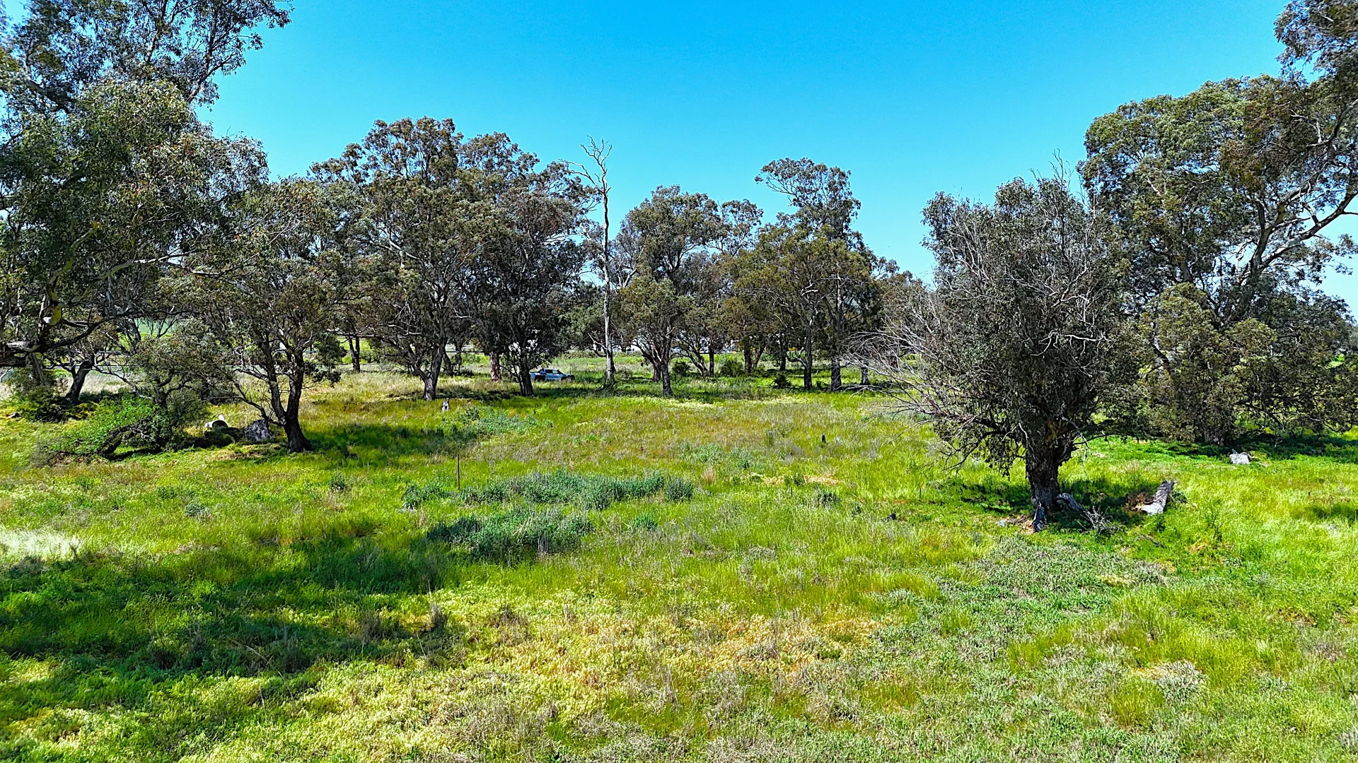 Additional image 11 of 40 Merriwa Road, Willow Tree NSW 2339