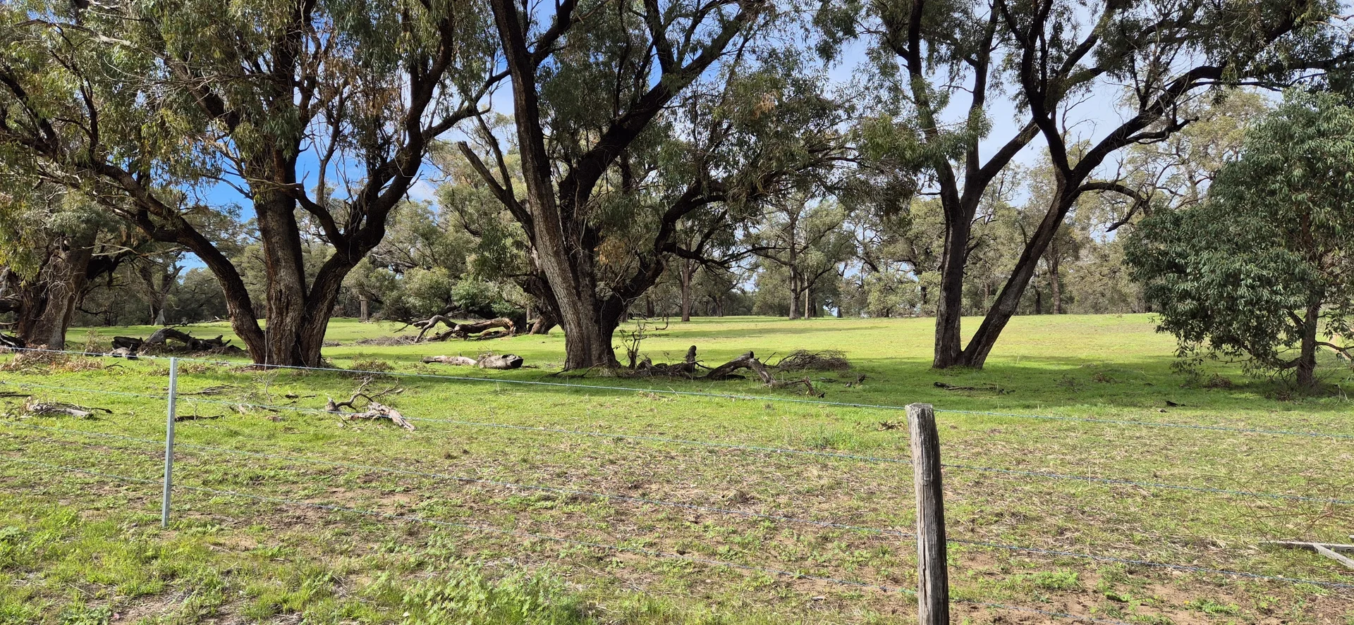 Additional image 17 of 197 Millbank Road, Cowalla WA 6503