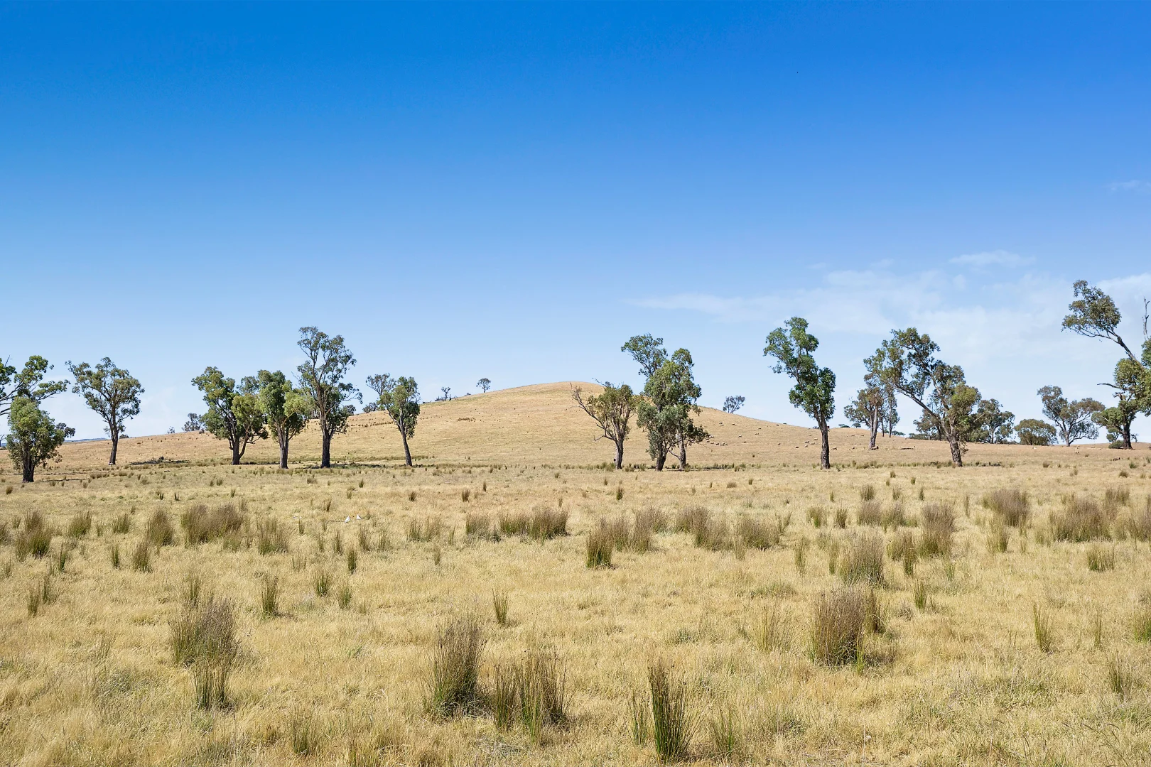 Additional image 25 of 2593 Four Mile Creek Road, Orange NSW 2800