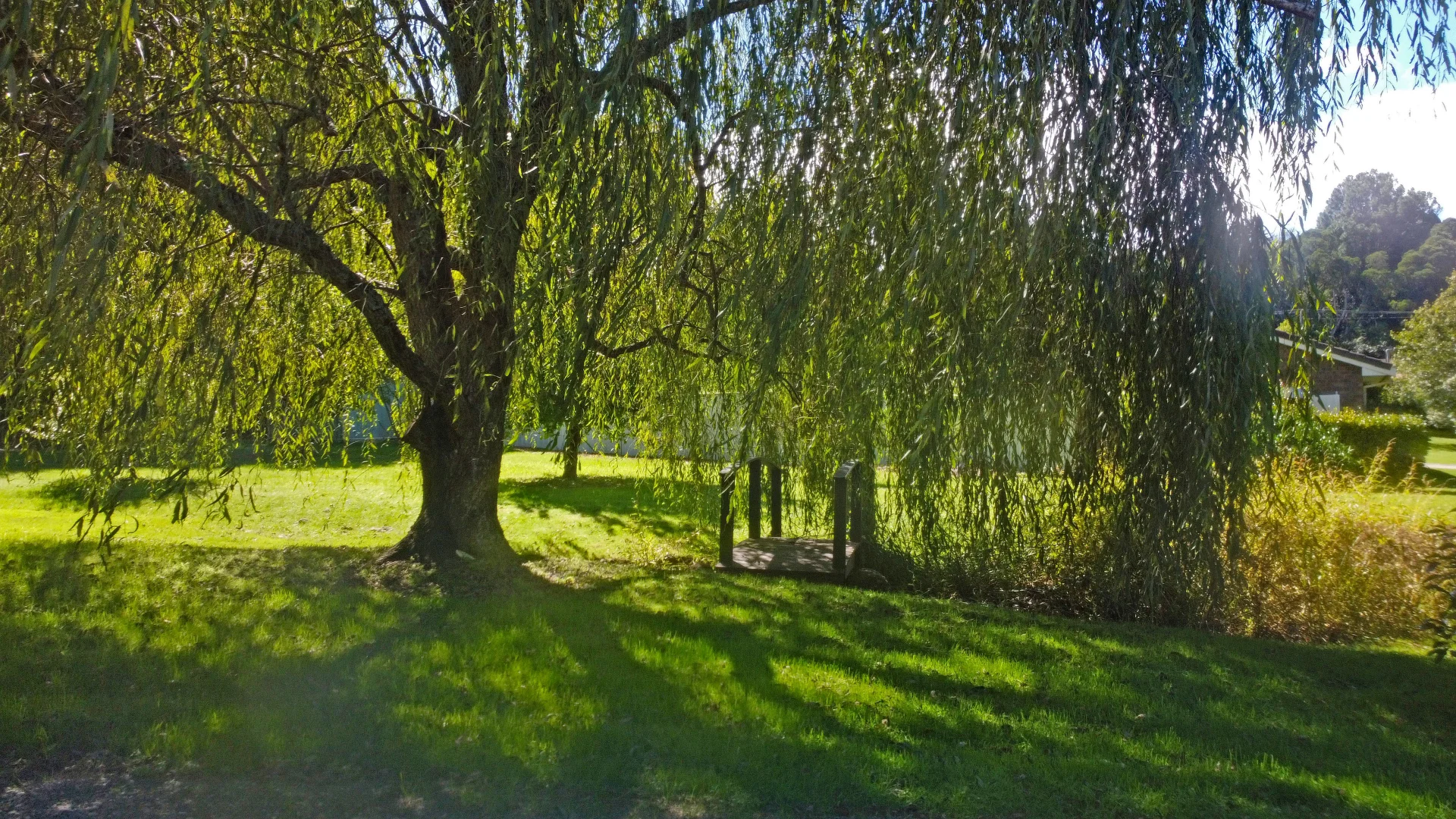 Additional image 12 of 8 VAUGHAN AVENUE, Robertson NSW 2577