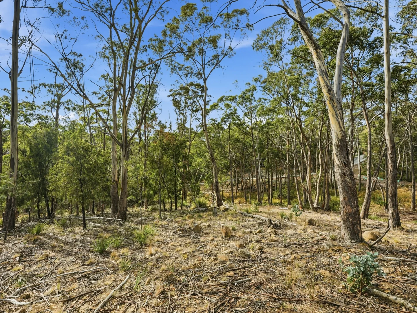 Additional image 6 of 11 Hargrave Place, Mount Nelson TAS 7007