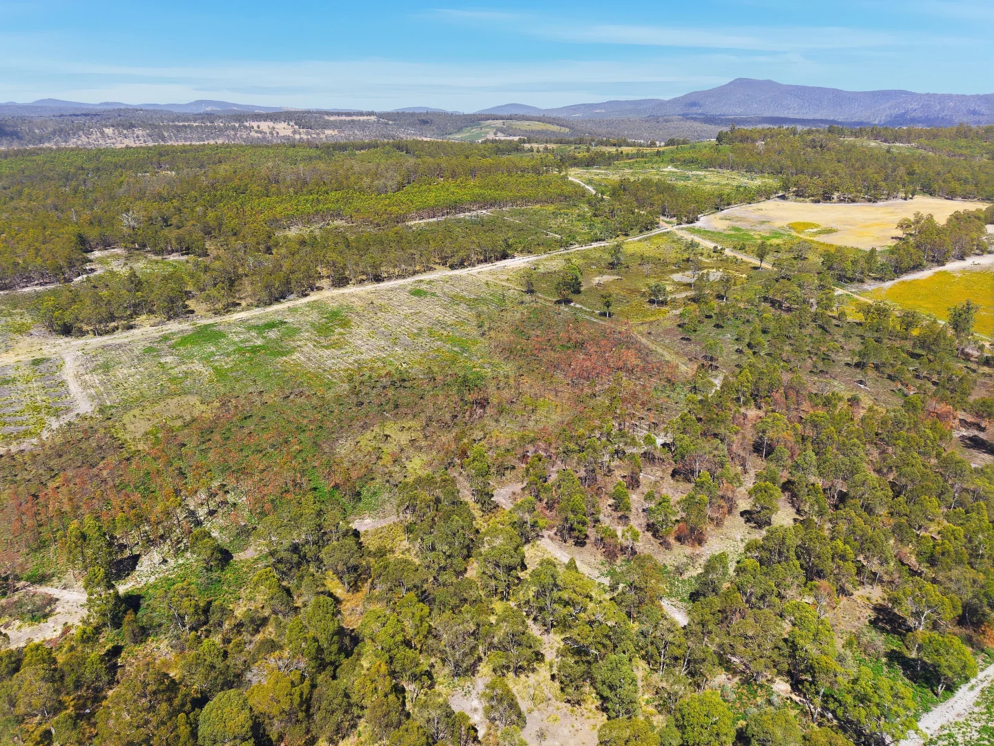 Additional image 9 of 422 Levendale Back Road, Levendale TAS 7120