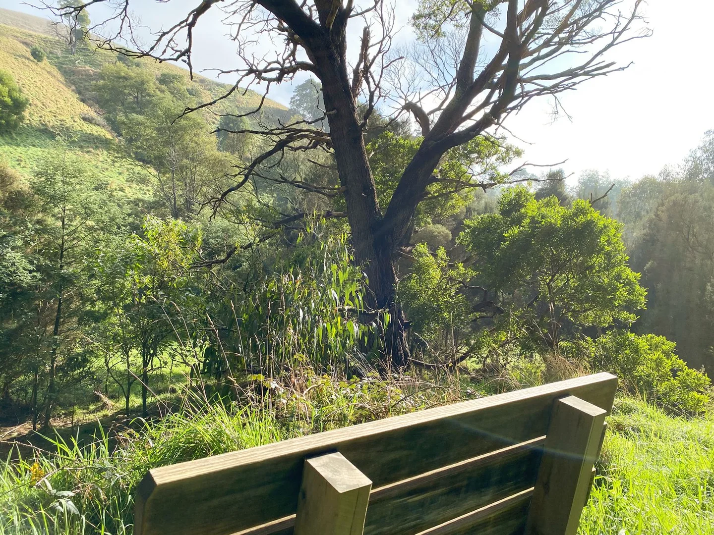 Additional image 25 of 1725 Wild Dog Valley, Strzelecki VIC 3950