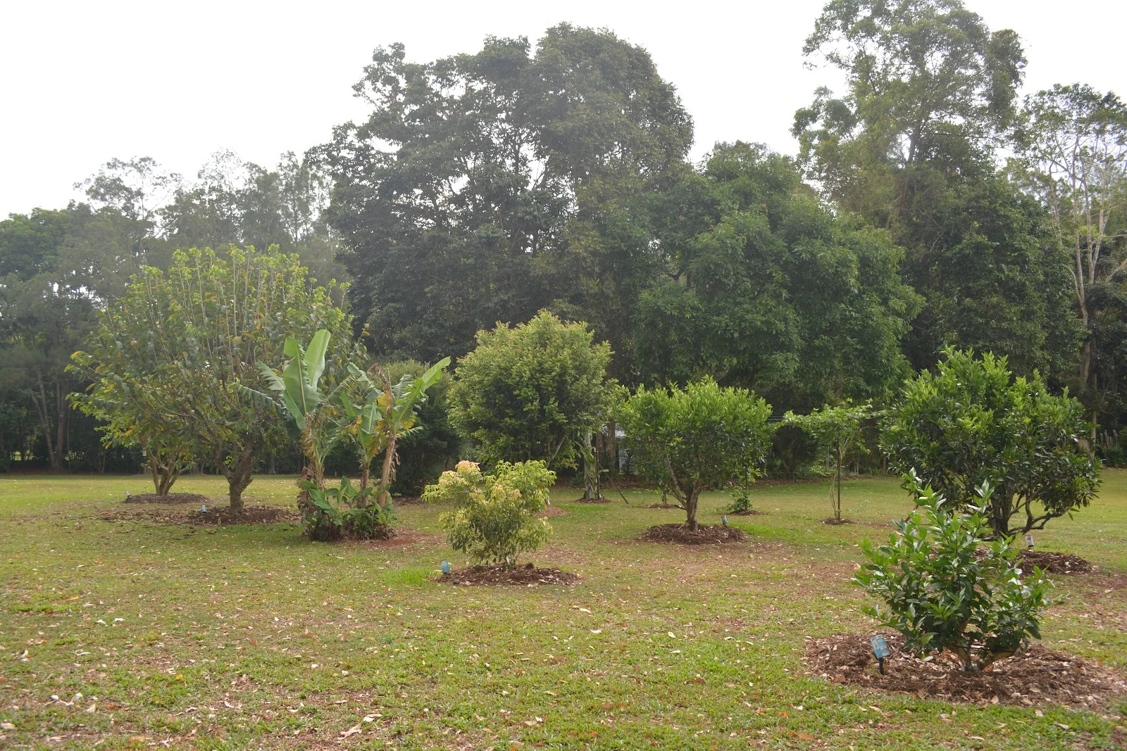 Additional image 33 of 20 Russell Road, Lake Eacham QLD 4884