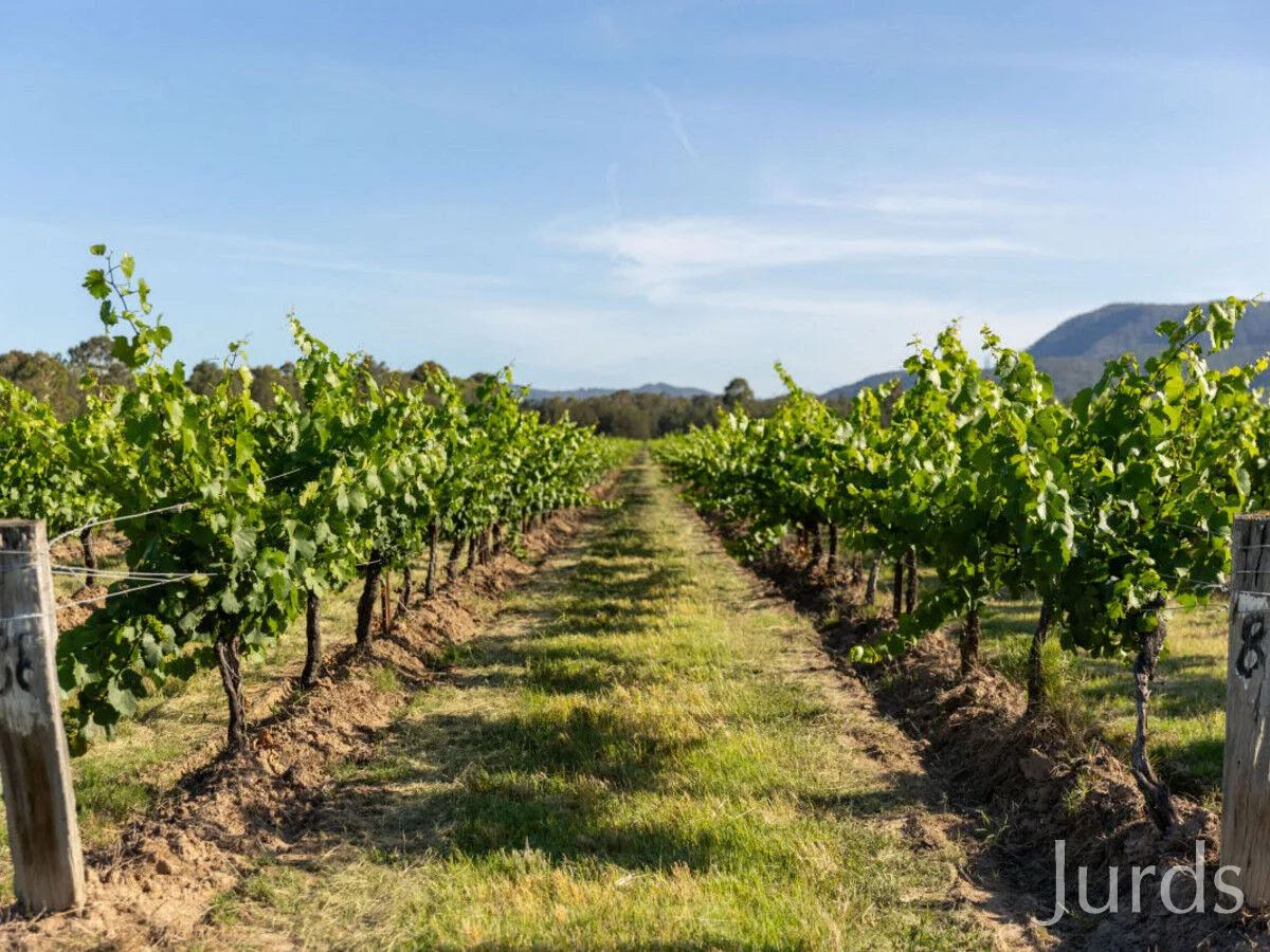 Additional image 6 of 2/DP707940 Hermitage Road, Pokolbin NSW 2320