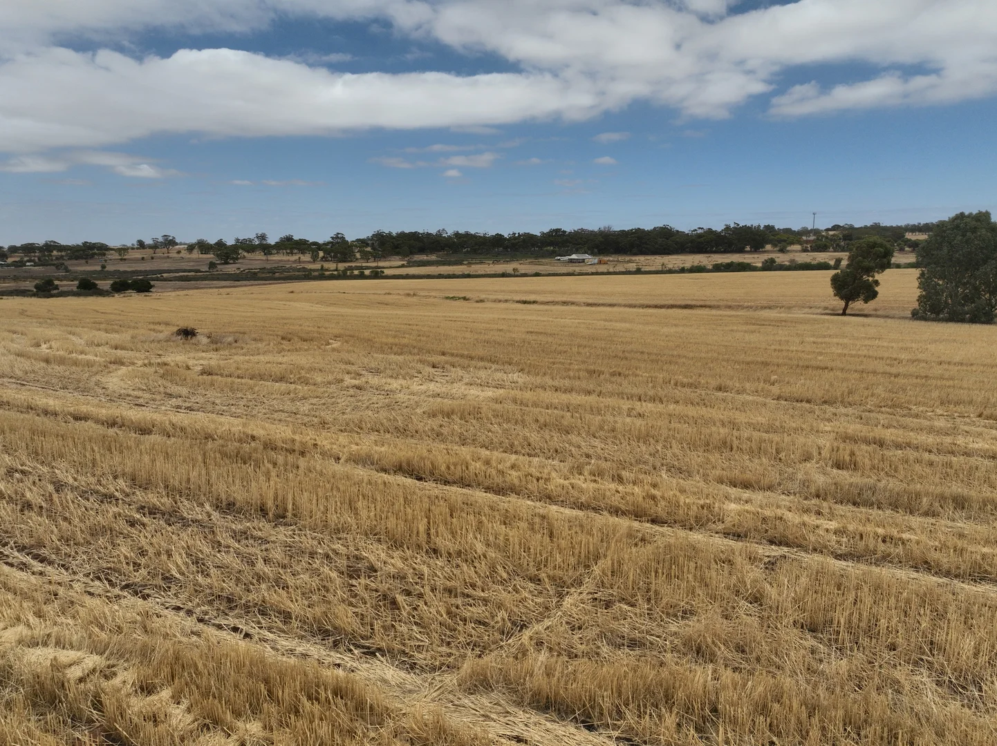 Additional image 22 of 368 Tyndall Road, Mumberkine WA 6401