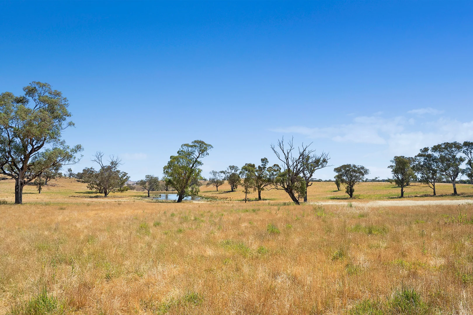 Additional image 23 of 2593 Four Mile Creek Road, Orange NSW 2800