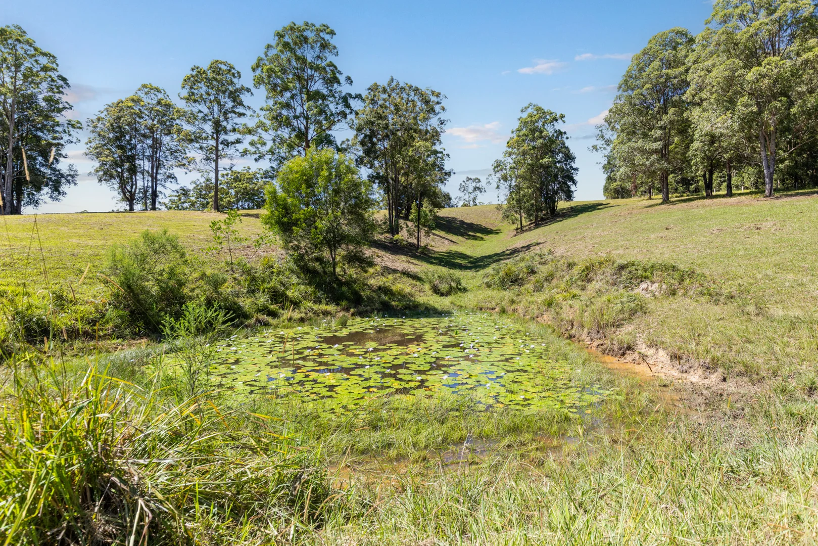 Additional image 35 of 141 Martells Road, Bellingen NSW 2454