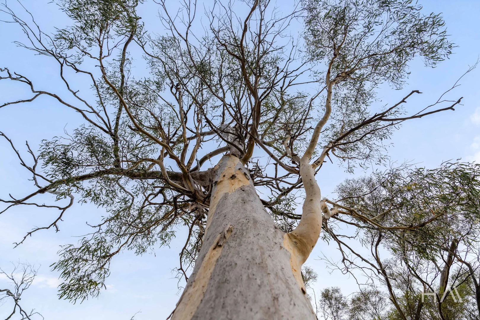 Additional image 6 of Lot 50 Springs Road, Swansea TAS 7190