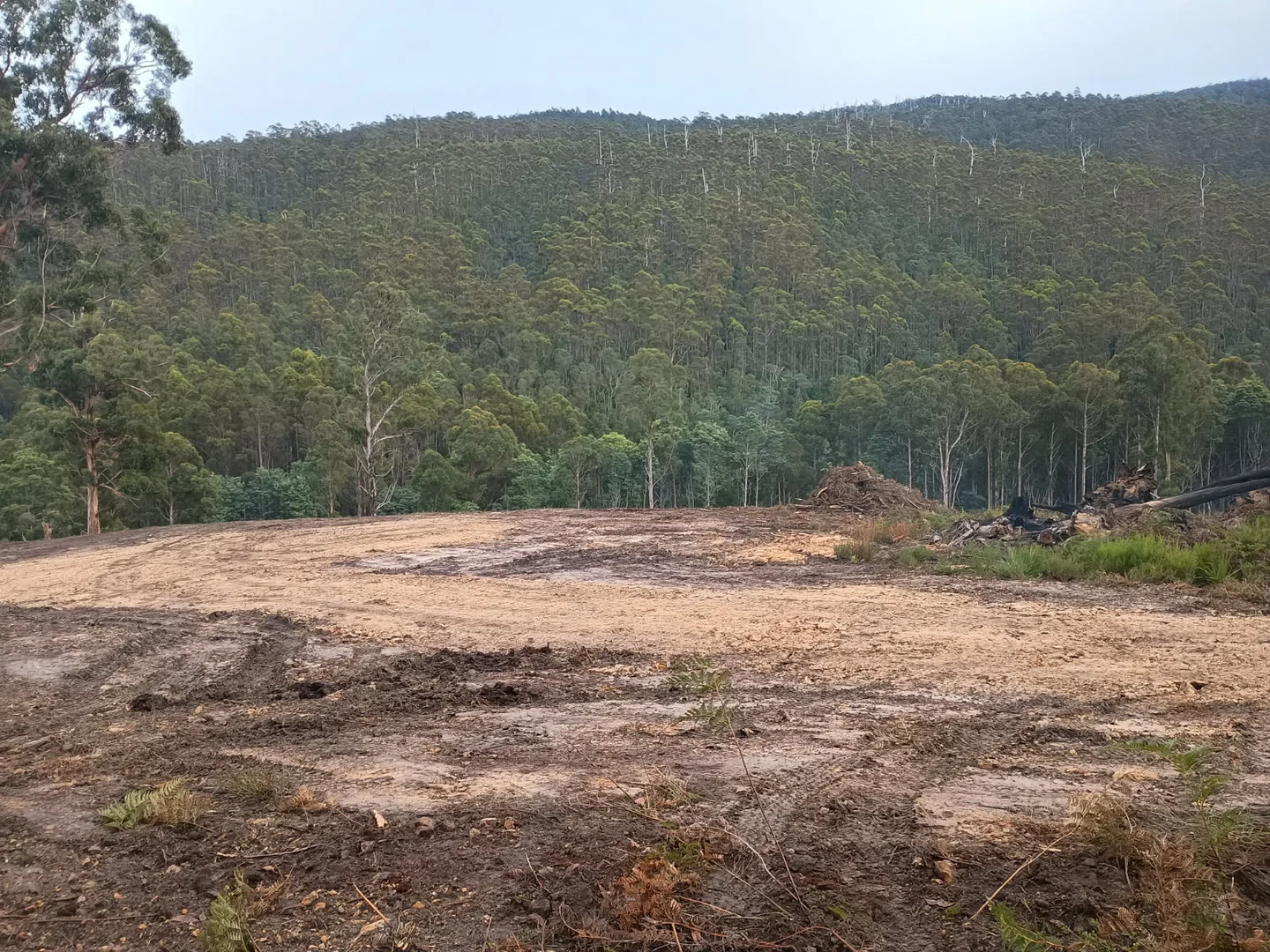 Additional image 7 of 396 Garden Island Creek Road, Garden Island Creek TAS 7112