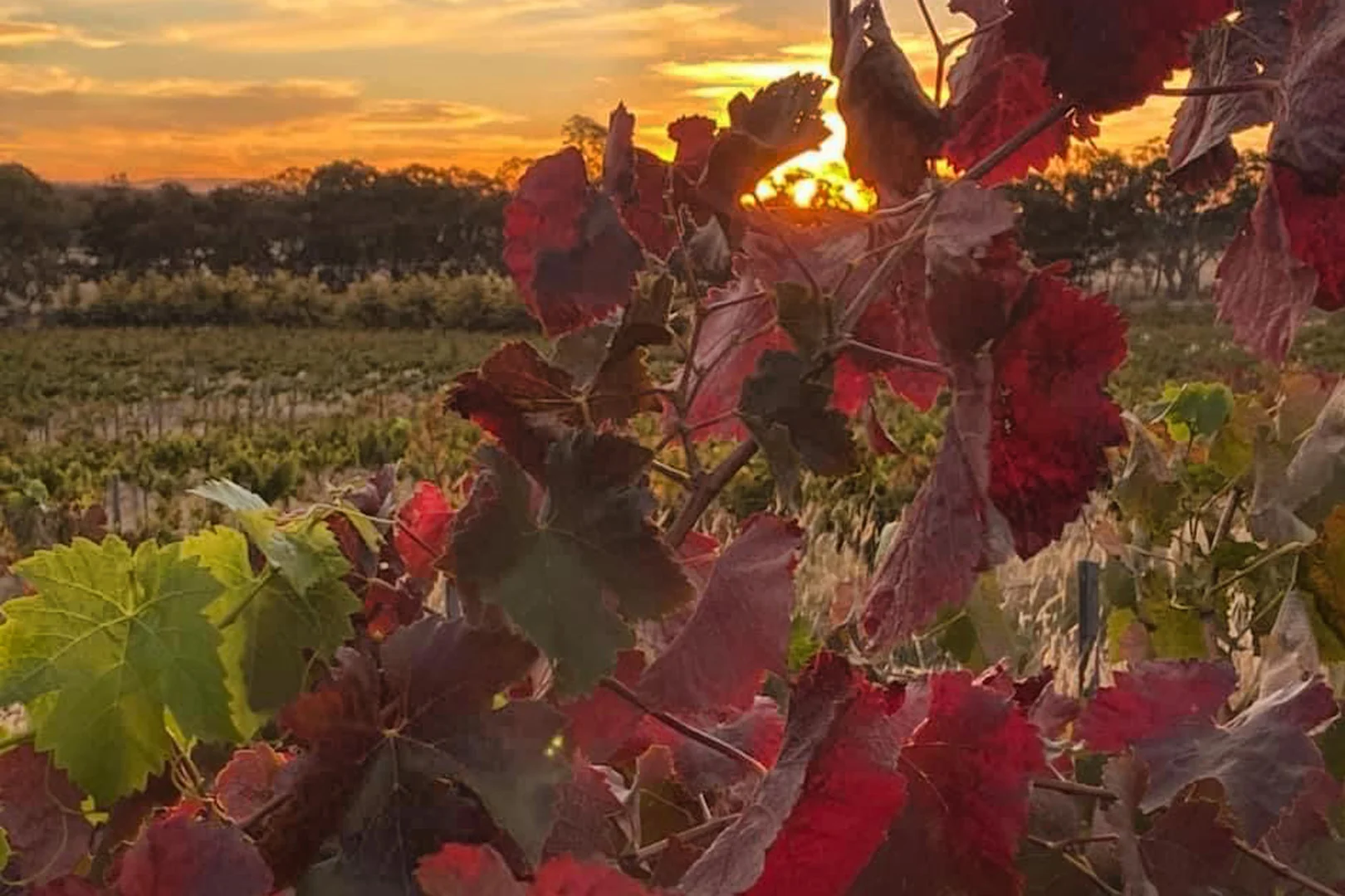 Additional image 23 of 470 Northern Highway, Heathcote VIC 3523