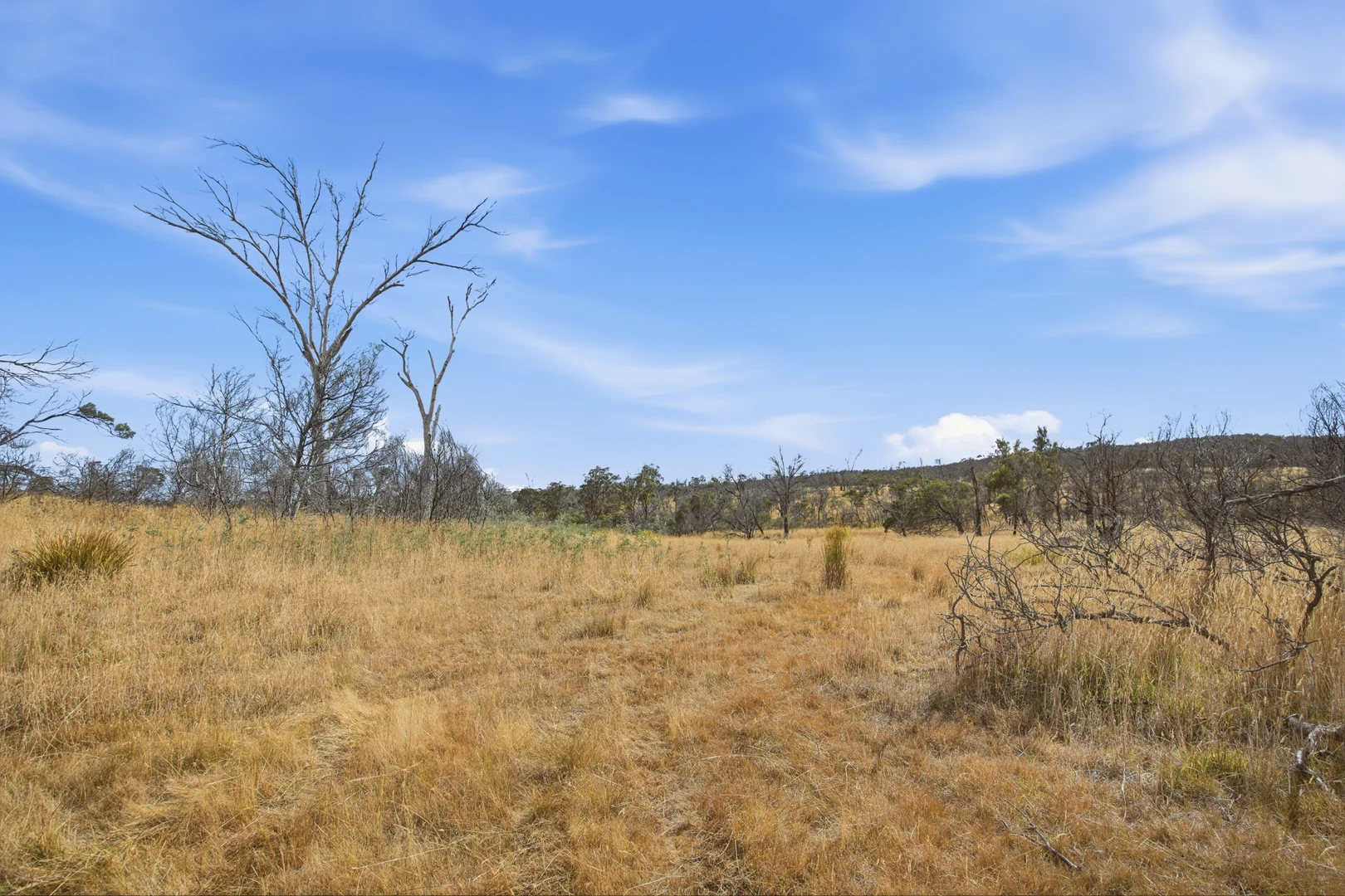 Additional image 18 of 75 Prossers Forest Road, Ravenswood TAS 7250