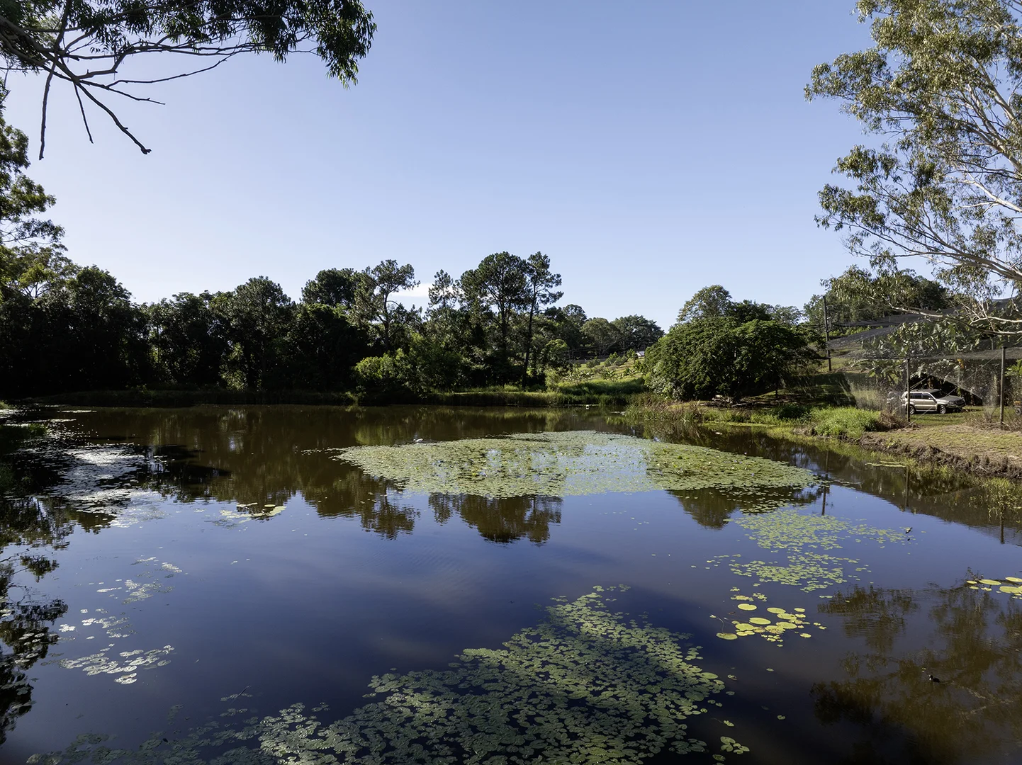 Additional image 50 of 654 Blackall Range Road, West Woombye QLD 4559