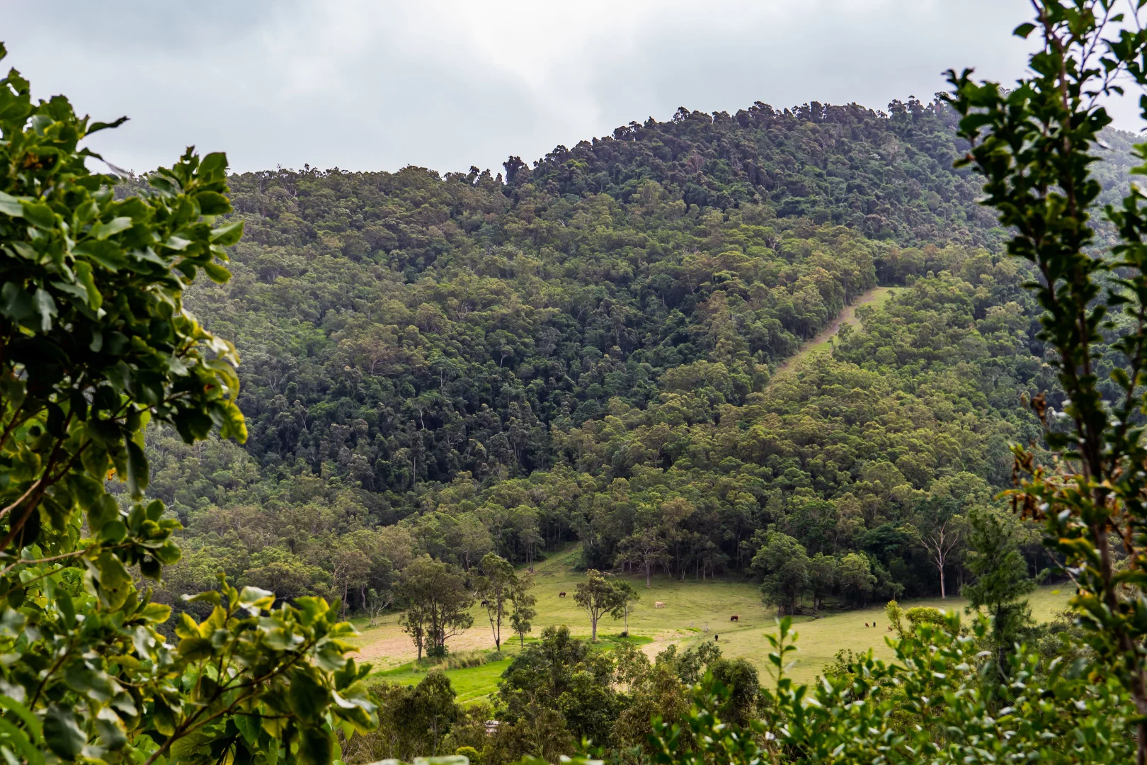 Additional image 18 of 26 Forestry Road, Brandy Creek QLD 4800