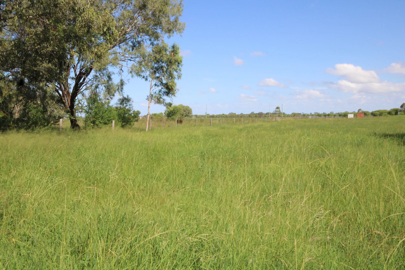 Additional image 29 of 366 GEORGE STREET, Depot Hill QLD 4700